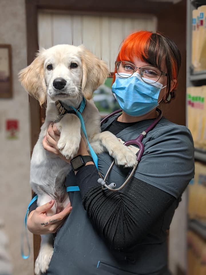 Ashley Gross, Veterinary Assistant